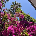 Bed & Breakfast Palma Rosa Çamyuva