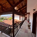 Palma Rosa Çamyuva