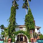 Palma Rosa