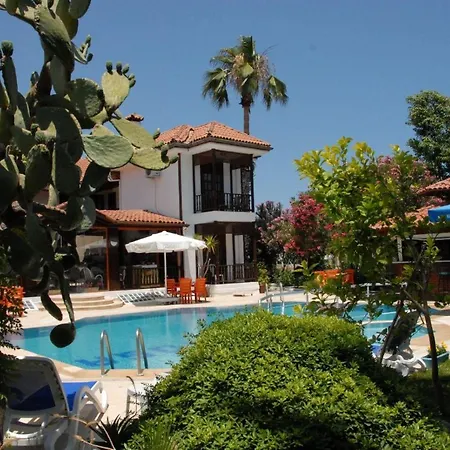 Palma Rosa Camyuva