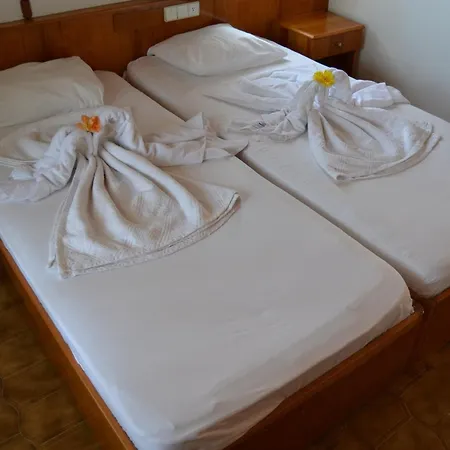 Oda ve Kahvaltı Palma Rosa 3*