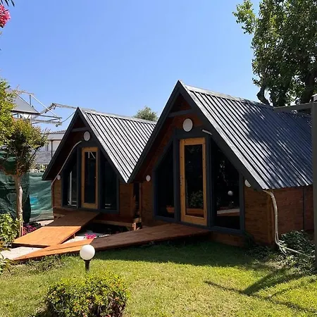 B&B Palma Rosa Camyuva