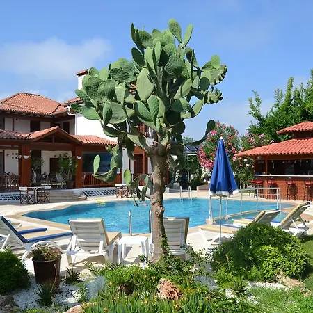 Palma Rosa Camyuva