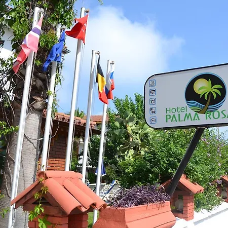 Palma Rosa Camyuva