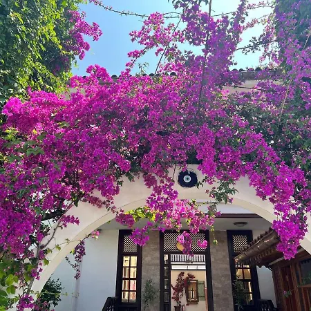 Bed and Breakfast Palma Rosa Çamyuva