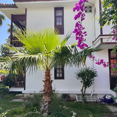 Palma Rosa 3* Camyuva