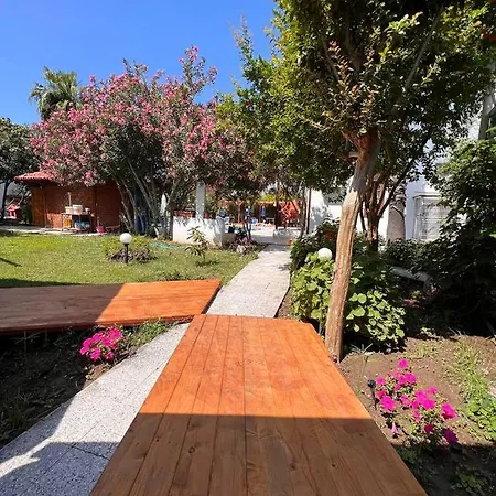Palma Rosa