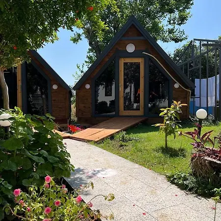 Palma Rosa Bed & Breakfast Camyuva