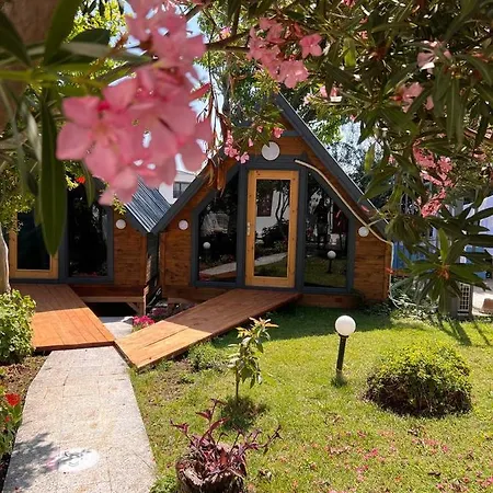 Palma Rosa Bed & Breakfast