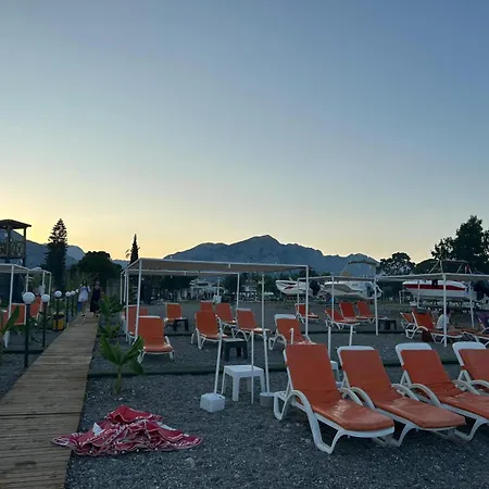 Palma Rosa Отель типа 