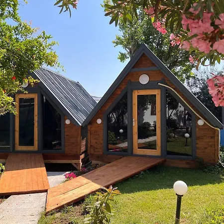 Bed & Breakfast Palma Rosa 3*