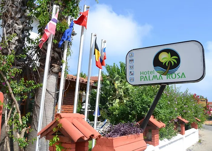 Palma Rosa Çamyuva