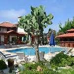 Palma Rosa Camyuva