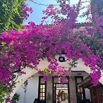 B&B Palma Rosa Camyuva