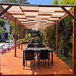 Palma Rosa